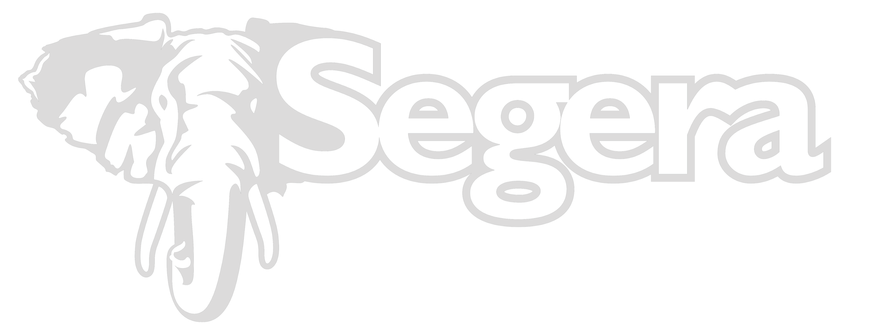 Segera logo